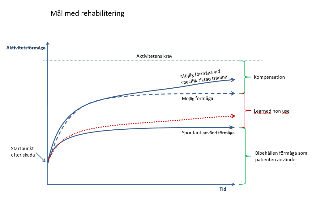 Vad behöver man som rehabiliteringspersonal tänka på för att avhjälpa 